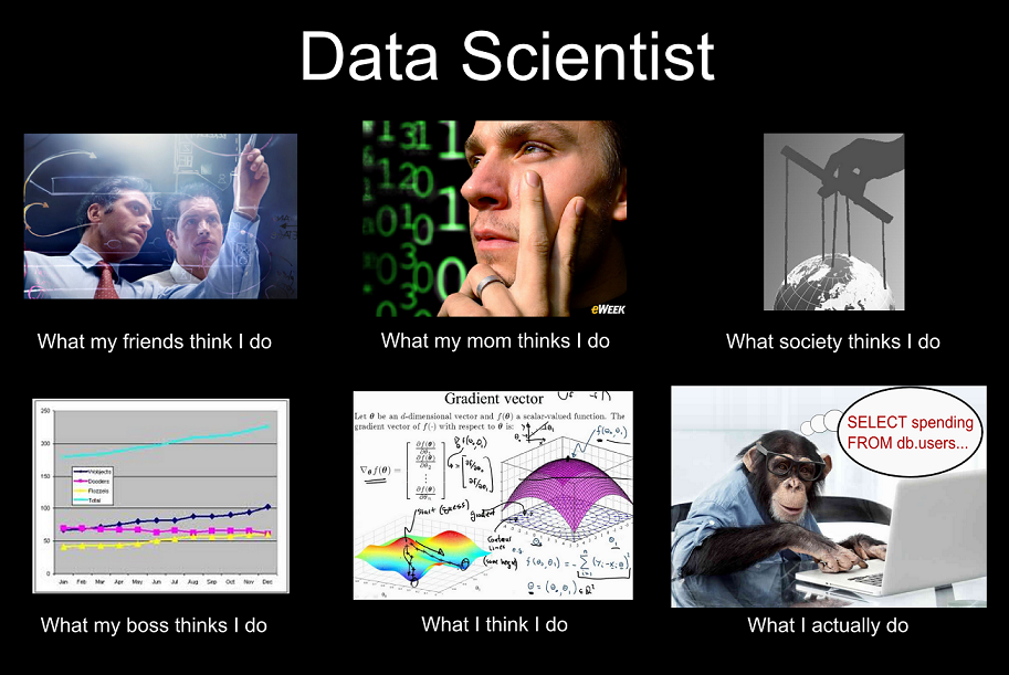 Data-Scientist-What-I-really-do.png