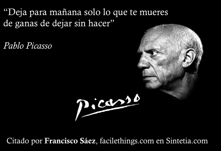 Picasso_Sintetia